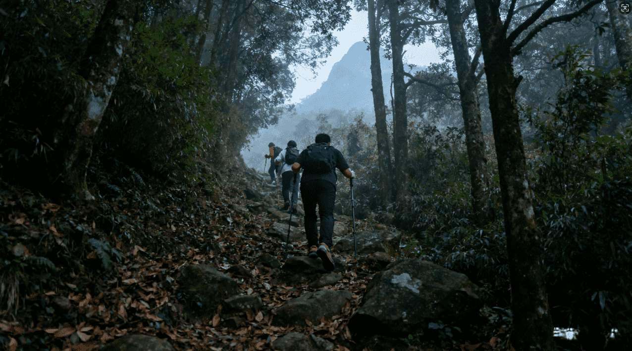 袋鼠加速器手机如何正确下载安装指南
